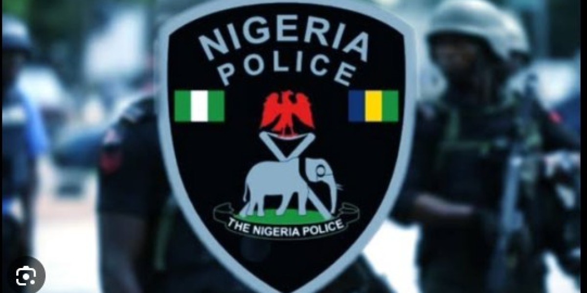 Edo Election 2024: IGP Imposes Movement Restrictions for Peaceful Polls